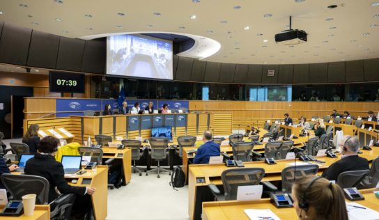 Surveillance et gestion financière au Parlement européen : Le rôle de la commission du Contrôle budgétaire (CONT)